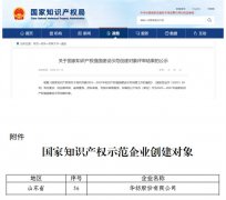 公司獲國家知識產(chǎn)權(quán)強(qiáng)國建設(shè)示范企業(yè)創(chuàng)建對象
